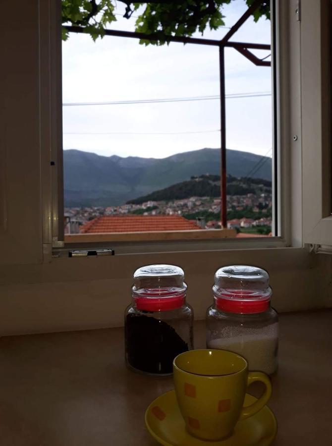 Apartment Tanja Trebinje Buitenkant foto
