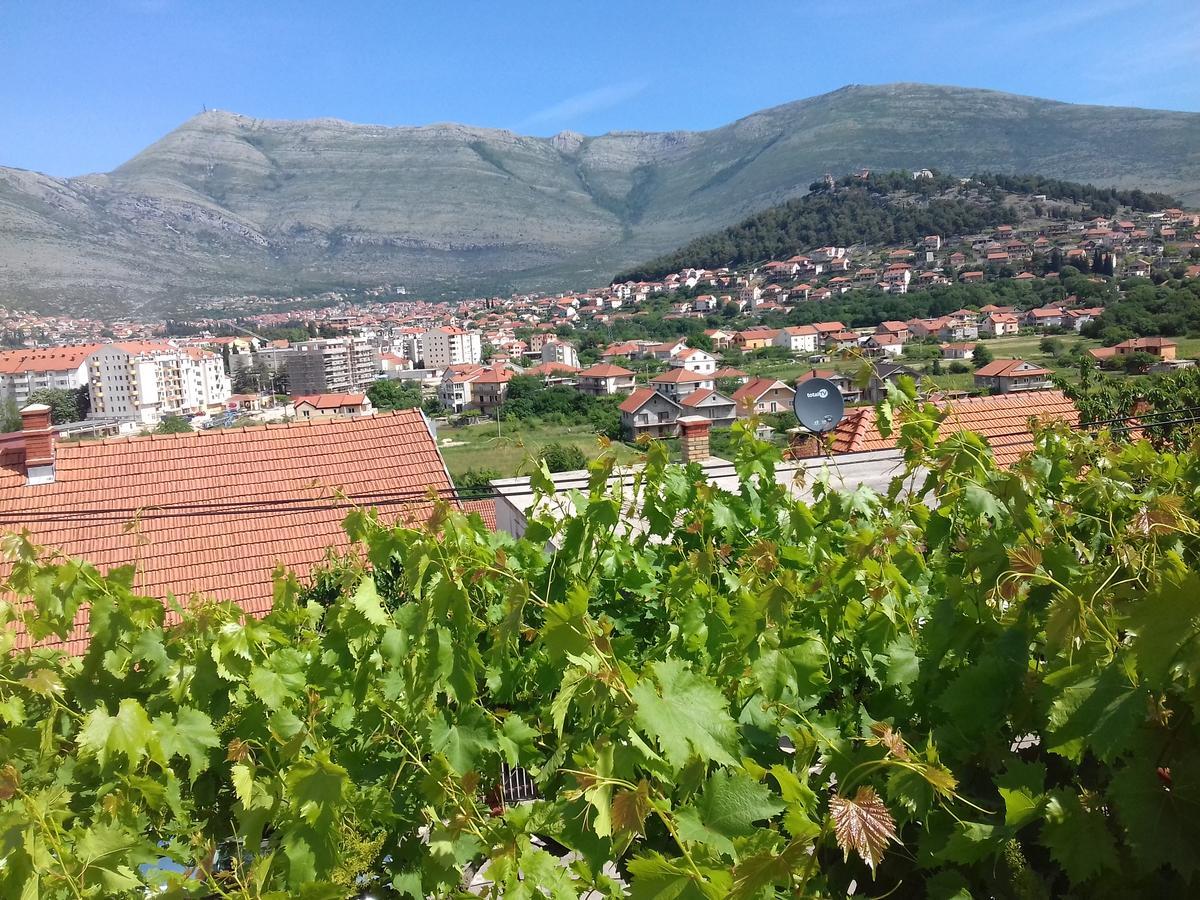 Apartment Tanja Trebinje Buitenkant foto